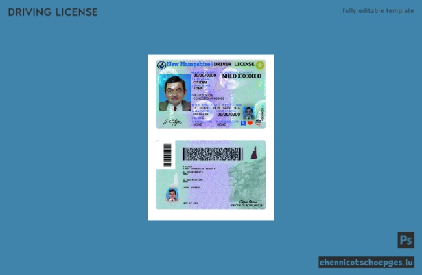 USA, New Hampshire: Beispiel für einen Führerschein